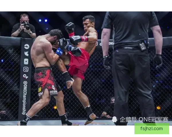 以西提猜对决一龙关键时间线全解析与赛场风云回顾历史意义深度复盘格斗巅峰之战